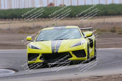 media/Jul-31-2022-Speed Ventures (Sun) [[bfb4b6530b]]/Black Group/Grapevine/